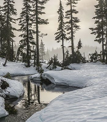 BA17 Pérdida Grave de Vitalidad