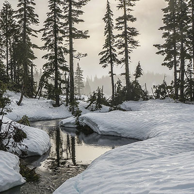 BA17 Pérdida Grave de Vitalidad