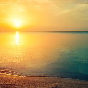 AGUA, SONIDO E INTELIGENCIAS DÉVICAS (AGOSTO) - Pago previo