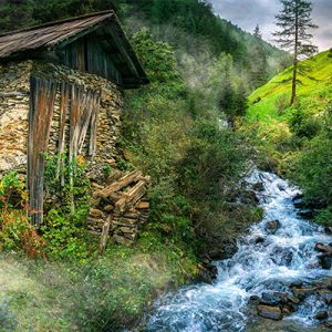 El Bosque, el Agua y Tu (Octubre) - Pago previo